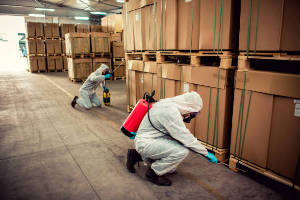 Wasp Removal Services in Talladega, AL
