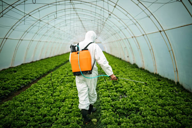 Best Best Pest Control Companies  in Tladega, AL