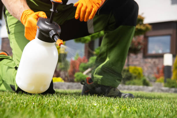 Best Exterminator Services  in Tladega, AL