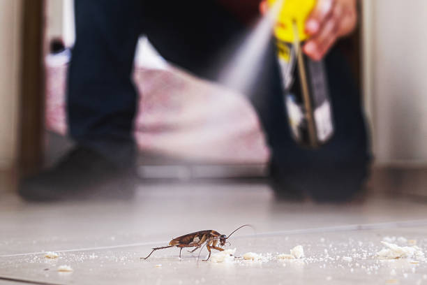 Best Termite Control Services  in Tladega, AL