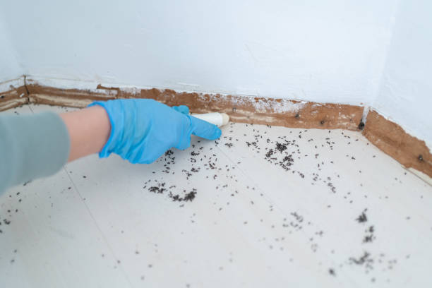 Best Pest Control for Restaurants  in Tladega, AL